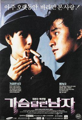 春风不渡文艺爱情电影在线观看